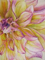 Adult art classes in fort smith are fun and easy to learn how to draw flowers portraits landscapes animals still life. So let's get started learning how to draw and sketch right here in fort smith arkansas. 